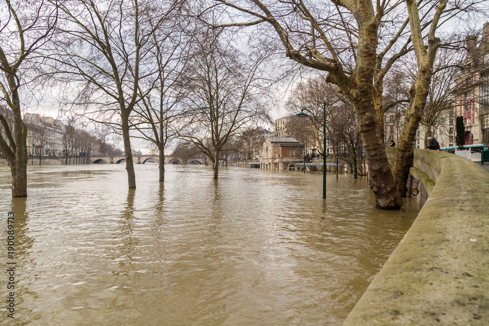 Flood of the Seine 2018 in Paris France Flood of the Seine 2018 in Paris France