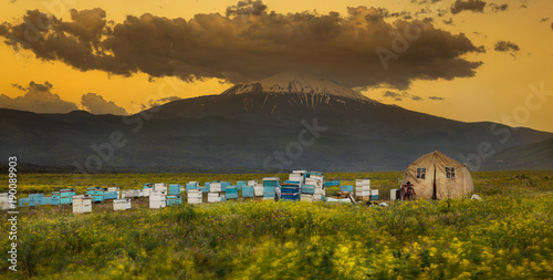 Beehives and tents   Igdir - Turkey  photo