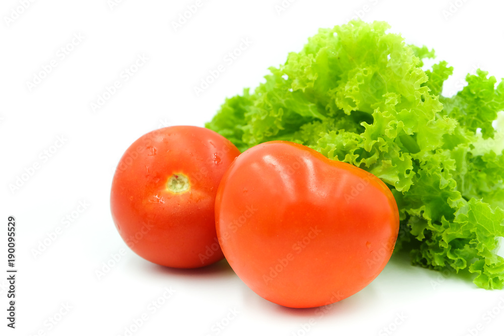 Fresh red tomato and lettuce isolated on white background Fresh red tomato and lettuce isolated on white background
