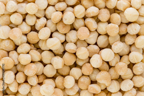Background texture of fresh natural macadamia nuts photo