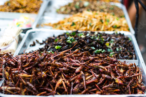 Fried insects - Grasshopper insect crispy, Thai food at the street food market. Available on the market