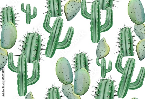 Cactus pattern texture on white Vector. Modern backgrounds