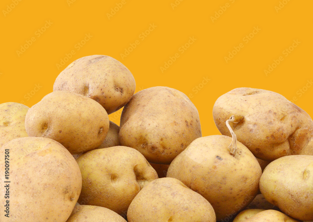 bunch of freshly harvested potatoes on yellow background bunch of freshly harvested potatoes on yellow background