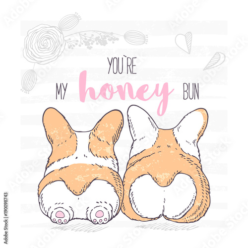 Two cute hand drawn dogs lie next to each other, breed Welsh Corgi Pembroke. Valentines day greeting card with floral ornament