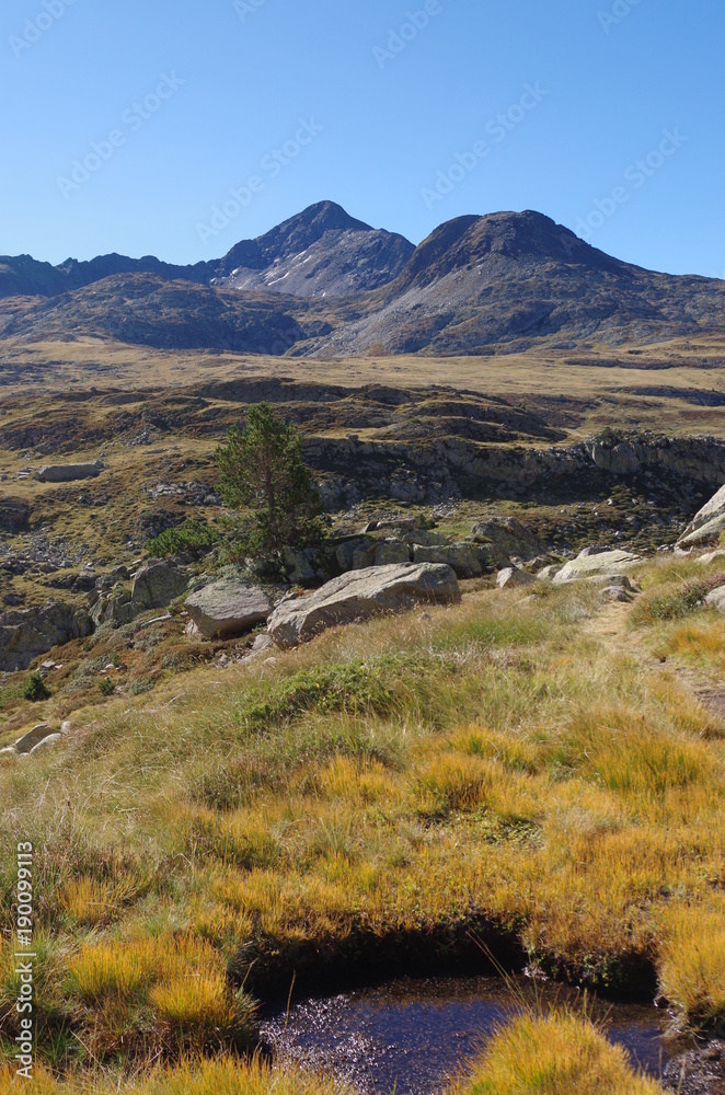 Paysage de montagne verte