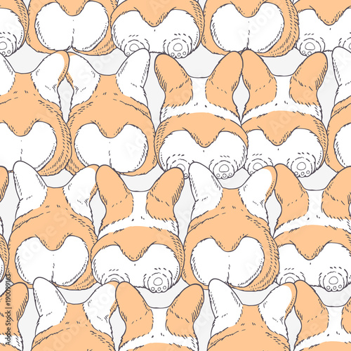 Seamless pattern with hand drawn dogs breed welsh corgi pembroke. Cartoon background