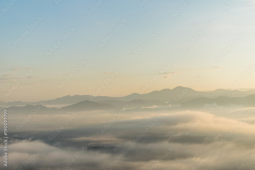 Mountain mist Mountain mist