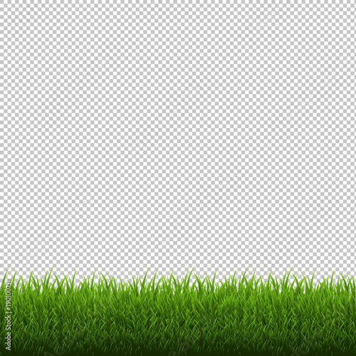 Grass Border Isolated Transparent Background