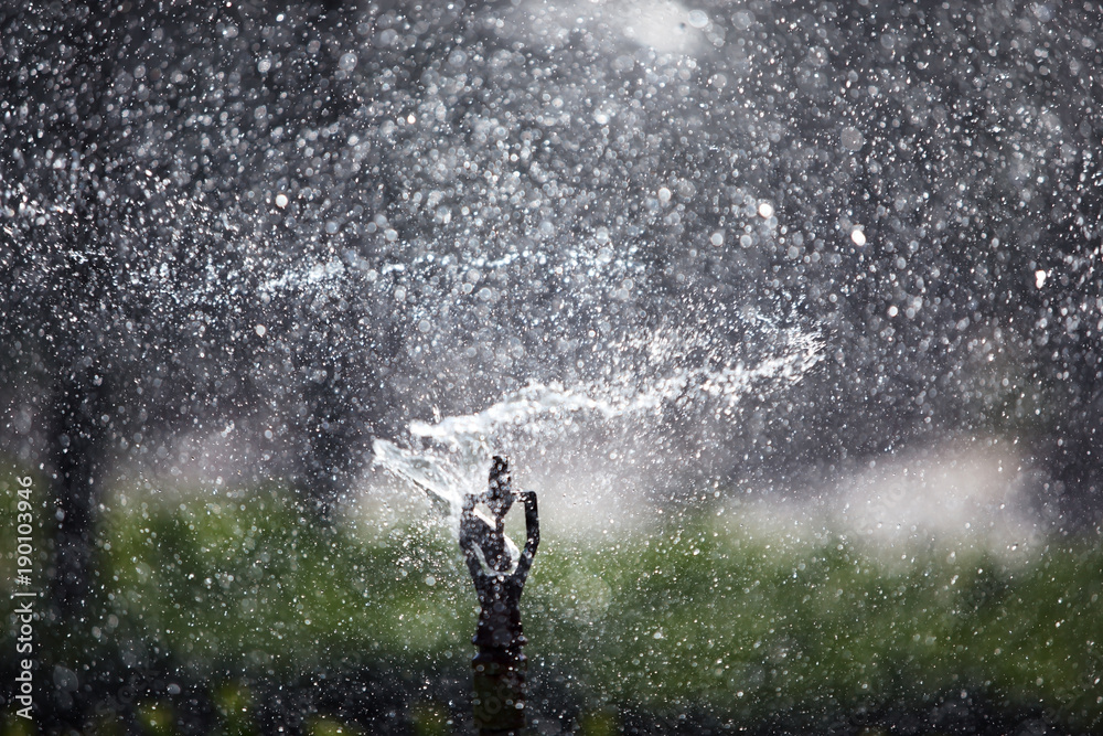 Obraz premium close up of abstract splash water sprinkler background.