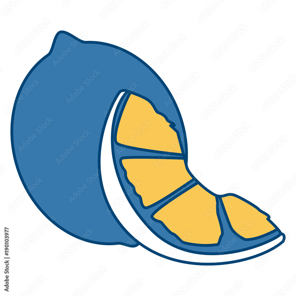 Lemon sliced isolated icon vector illustration graphic design Lemon sliced isolated icon vector illustration graphic design