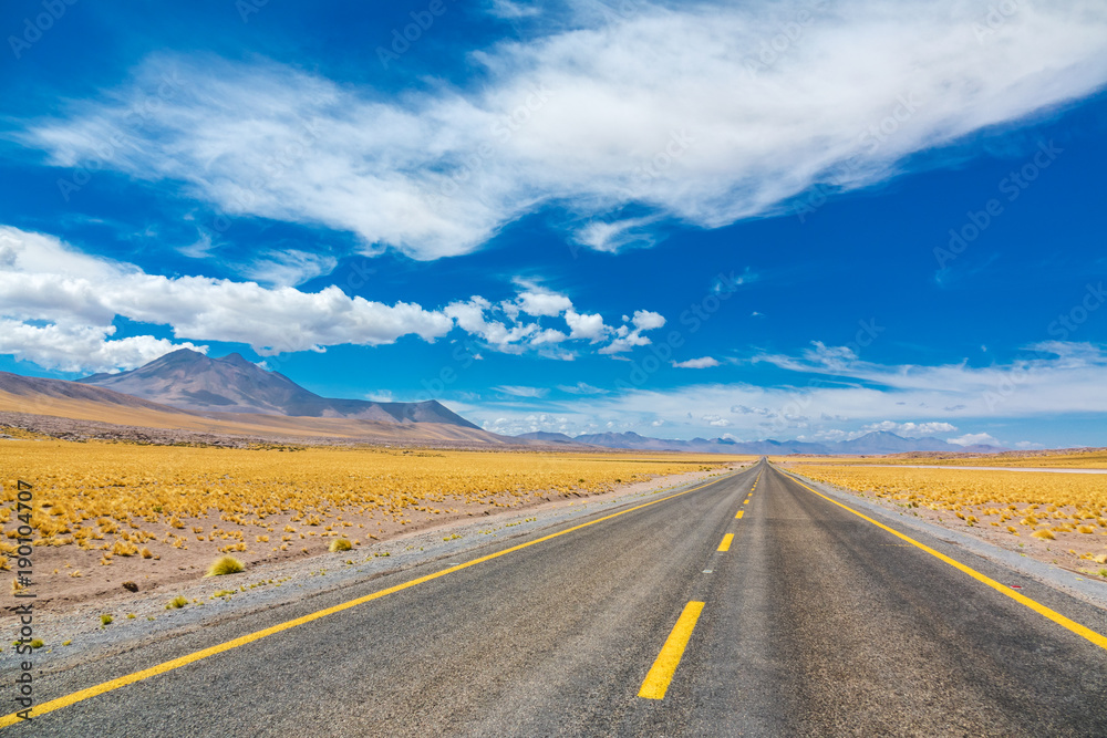 Road in Atacama Altiplana desert, Chile, South America
