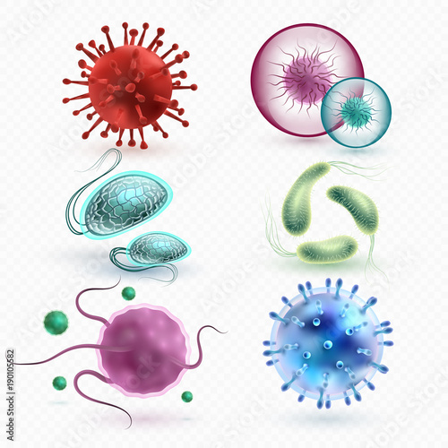 Realistic 3d microscopic viruses and bacteria isolated vector set