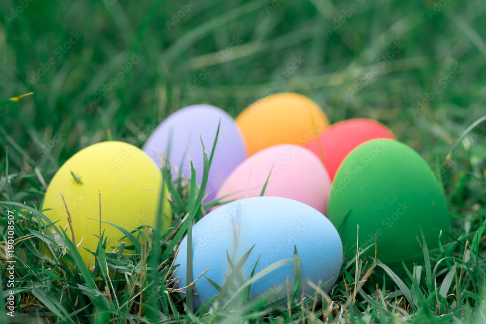 The colorful easter eggs in the nest with green grasses background of front yard The colorful easter eggs in the nest with green grasses background of front yard