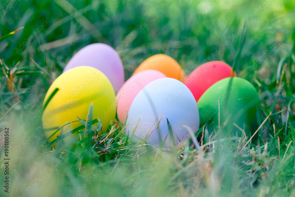 The colorful easter eggs in the nest with green grasses background of front yard