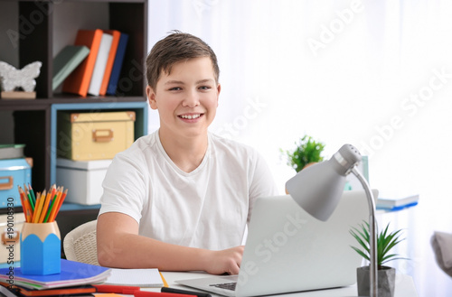 Teenage boy with laptop doi...