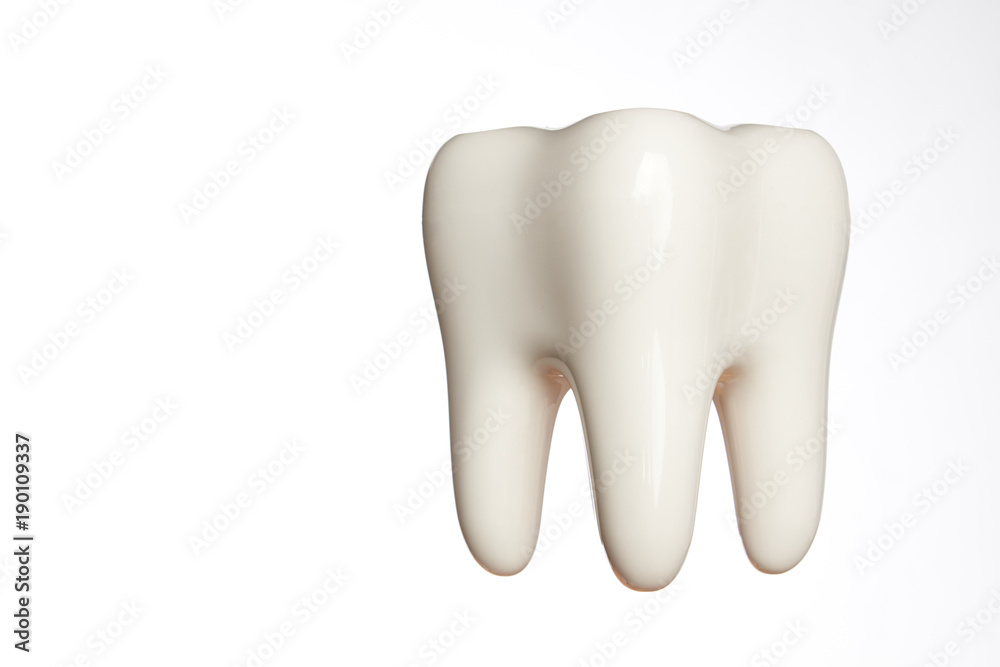 White enamel tooth model isolated on white White enamel tooth model isolated on white