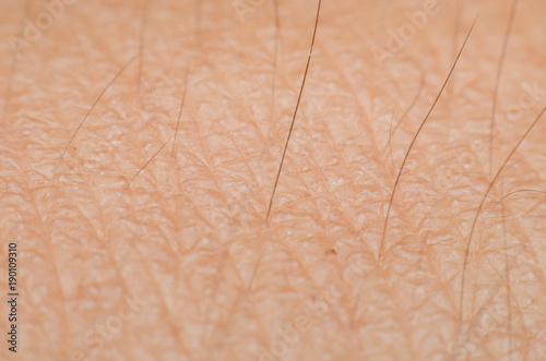 macro shot on texture of human skin with hairs. arm skin texture. photo