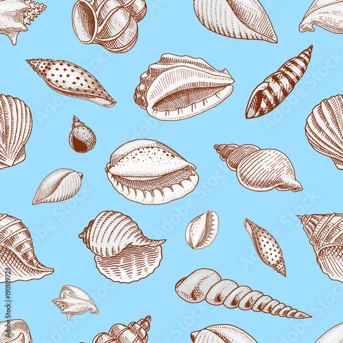 seamless pattern shells or mollusca different forms. sea creature. engraved hand drawn in old sketch, vintage style. nautical or marine, monster or food. animals in the ocean.
