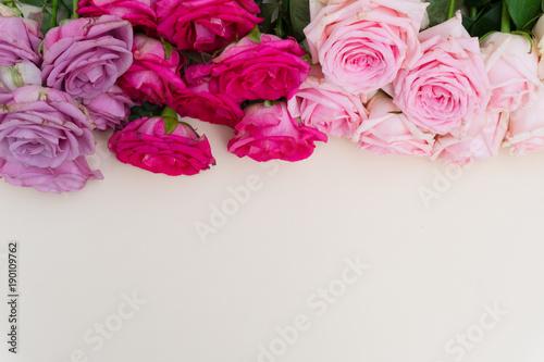 Fototapeta Naklejka Na Ścianę i Meble -  Violet and pink blooming roses