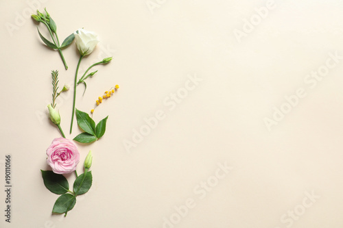 Fototapeta Naklejka Na Ścianę i Meble -  Beautiful flowers on light background