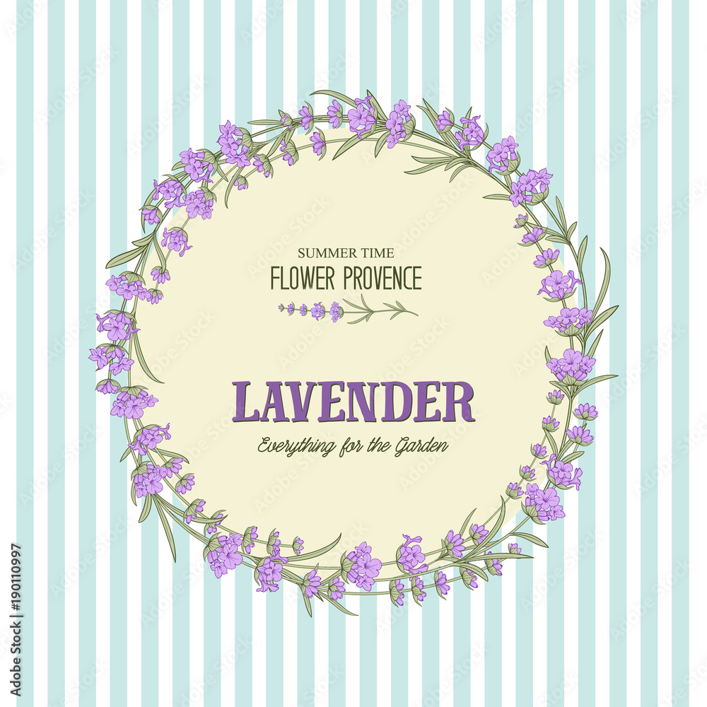 The lavender elegant card with frame of flowers and text. Lavender garland for your text presentation. Label of soap package. Label with lavender flowers. Vector illustration. The lavender elegant card with frame of flowers and text. Lavender garland for your text presentation. Label of soap package. Label with lavender flowers. Vector illustration.