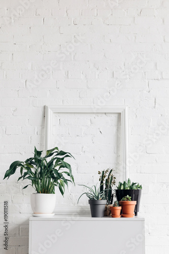 houseplants with empty frame on white table, mockup concept