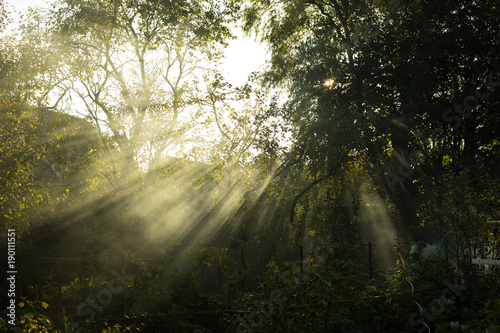 Sunn Forest © Arthur