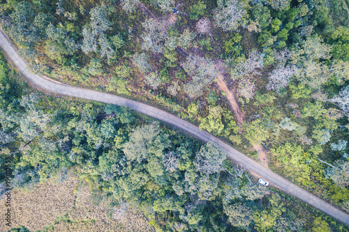 aerial view over Asphalt roads between forests in mountain © Goodvibes Photo