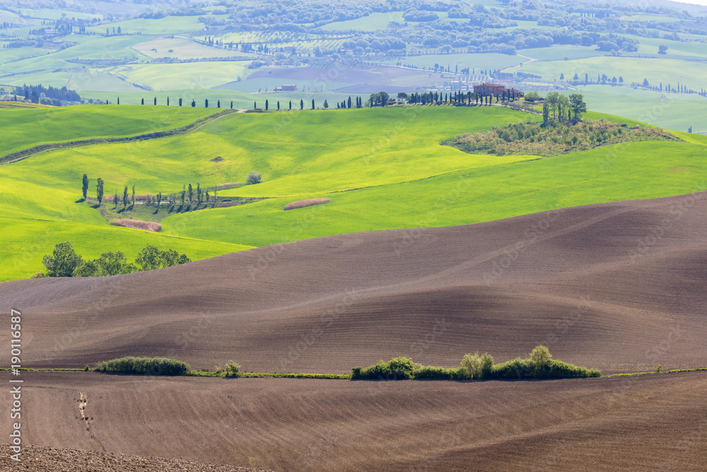 View in Tuscany with newly sown fields