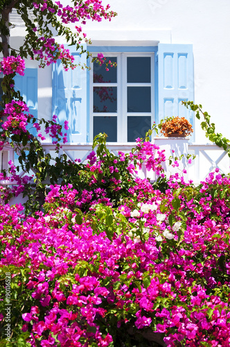 Window with blue shutters and pink flowers, traditional Greek architecture, Santorini island, Greece. Beautiful details of the island of Santorini, white houses, blue shutters, the Aegean Sea.