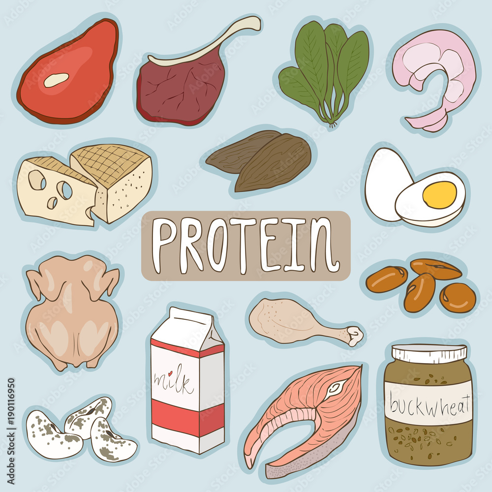 Set of Protein foods healthy plan. Medical healthcare concept. Vector