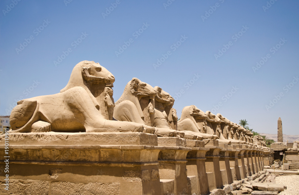 The sphinxes with the heads of rams at Karnak temple, Luxor Egypt The sphinxes with the heads of rams at Karnak temple, Luxor Egypt