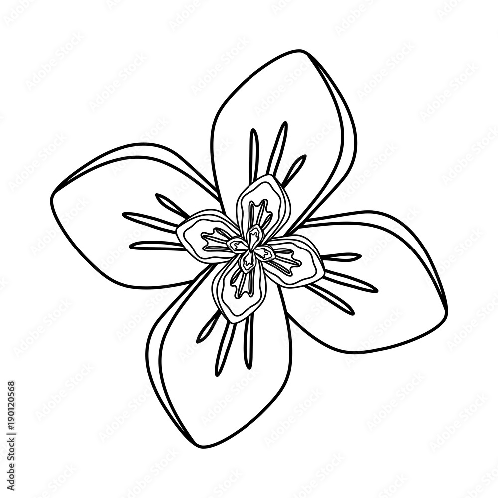 Fototapeta premium rustic floral design