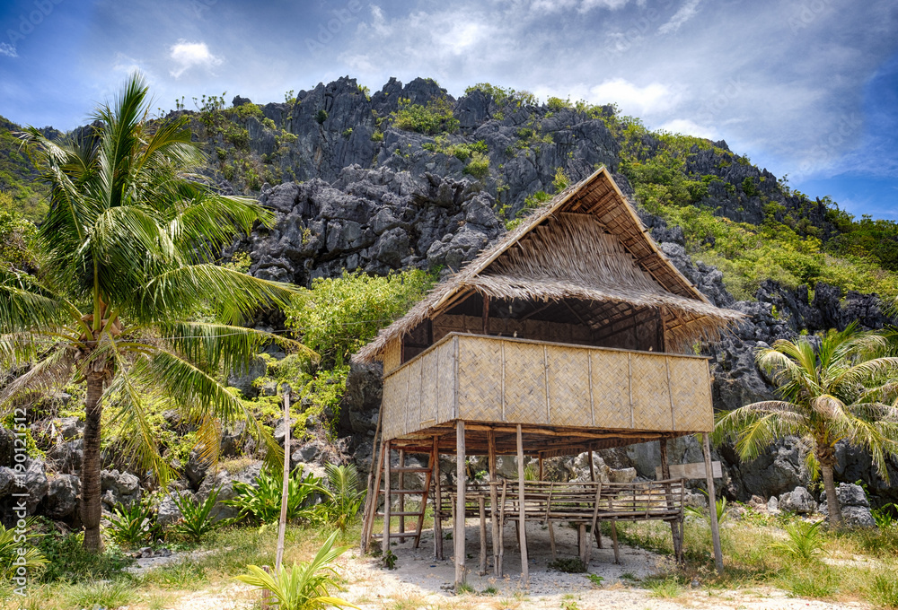 Tropical Wood House