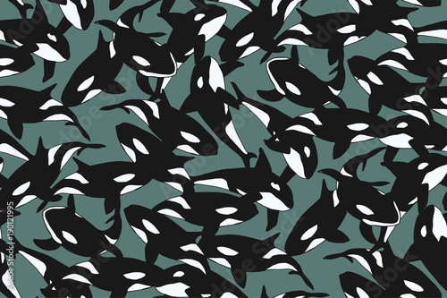 
A flock of Orcinus orca. killer whale
