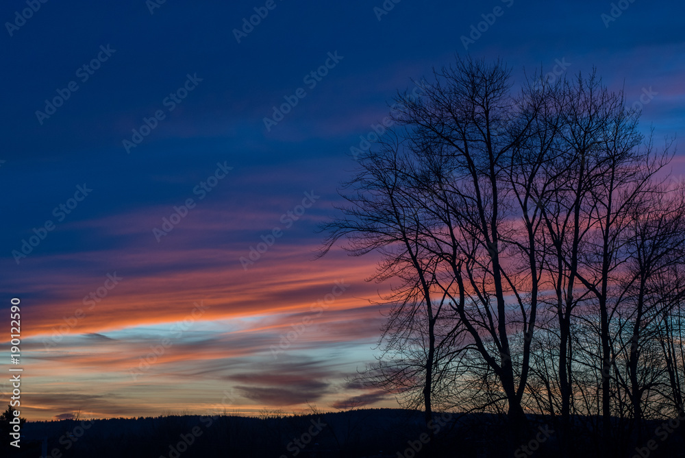 Twilight's Arrival Twilight's Arrival