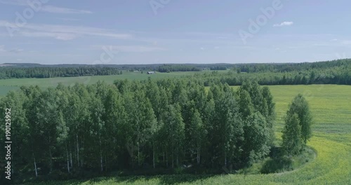 Midday aerial view of Rapeseed field near forest Lahti, Finland, forward movement