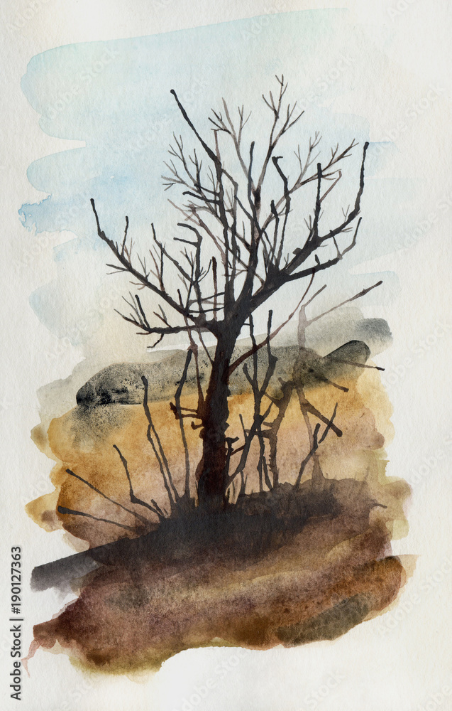 Watercolor sketch of tree without leaves 