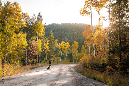 Obraz na plátne A middle aged man watches the sun set over the horizon on a dirt road with his German Shepard on a beautiful, crisp fall afternoon