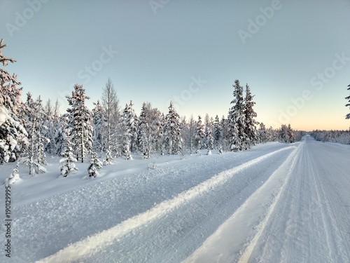 Winter nature in Sweden