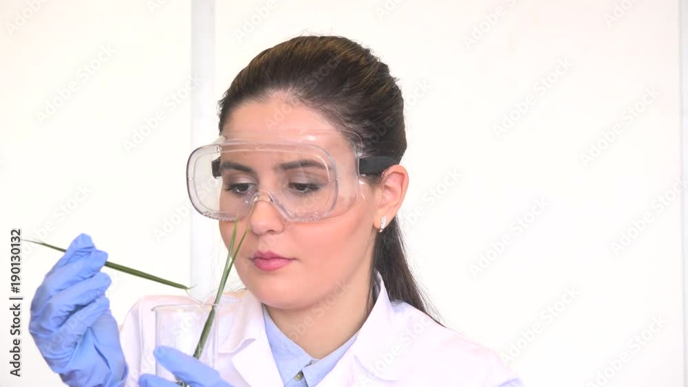 Pleased content happy plant development researcher biologist in lab check growth Pleased content happy plant development researcher biologist in lab check growth
