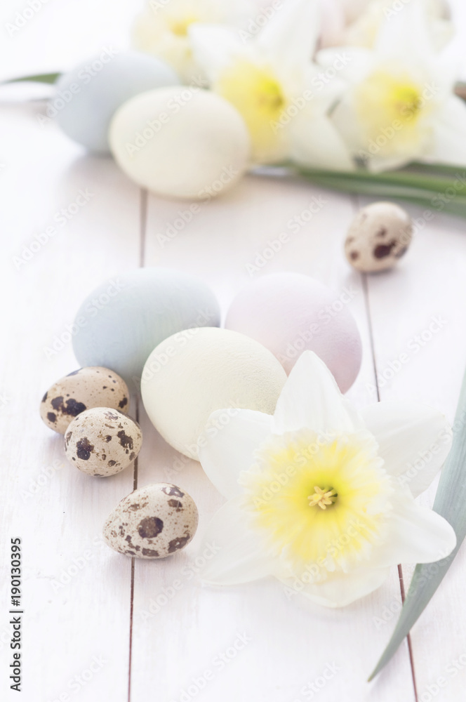 Easter composition from colored chicken and quail eggs with daffodil flowers on a white wooden background. Concept of a holiday with copy space. Easter light background. Toned effect.
