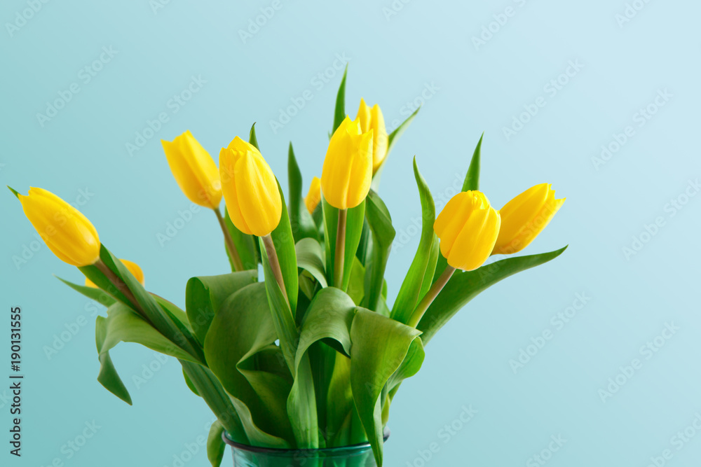 Yellow tulips bouquet on blue background Yellow tulips bouquet on blue background