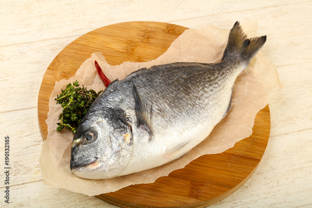 raw dorada fish raw dorada fish