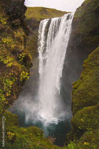 Powerful wild waterfall in Iceland nature, Skogafoss waterfall 