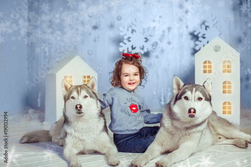 Charming child playing with two Siberian husky