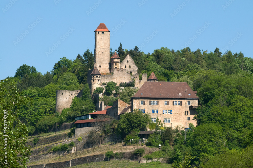 Burg Hornberg am Neckar