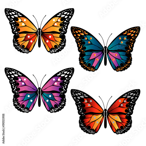 multicolored butterflies set