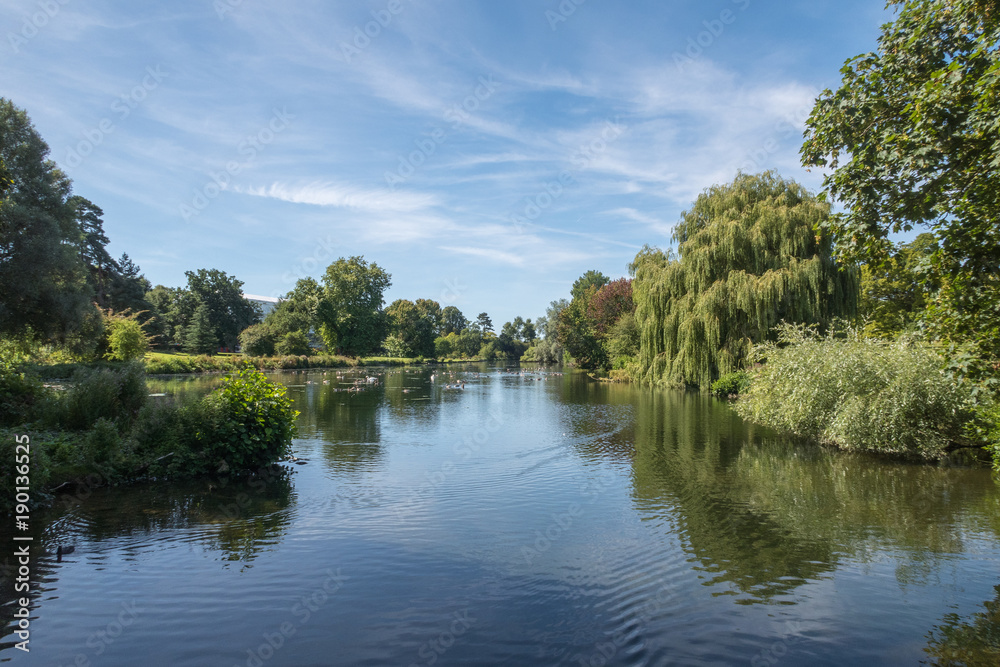 A Lake in the English Countryside in the summer A Lake in the English Countryside in the summer