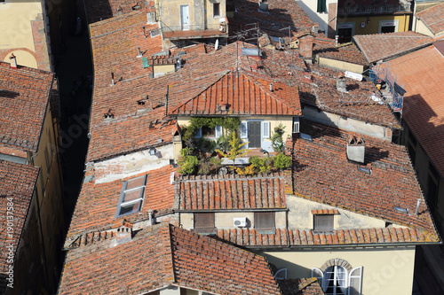 Roof garden in Lucca, Italy photo